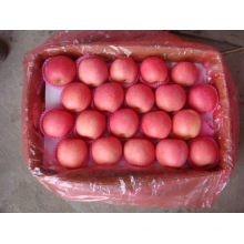 High Quality for Exporting Fresh Chinese FUJI Apple